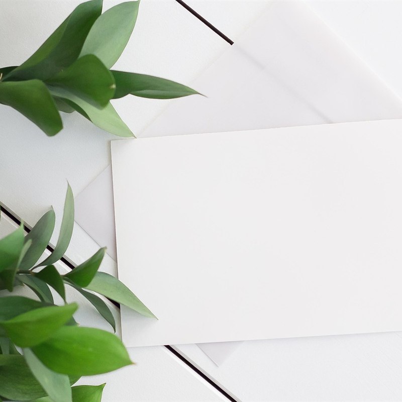 Plantable Seed Paper Greeting Cards (Pack of 10)