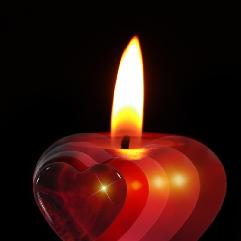 Premium Plant and Candle Hamper