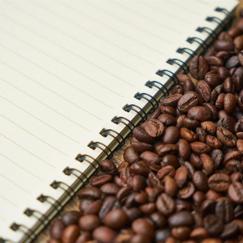 Seed Paper Notebook Set of 3