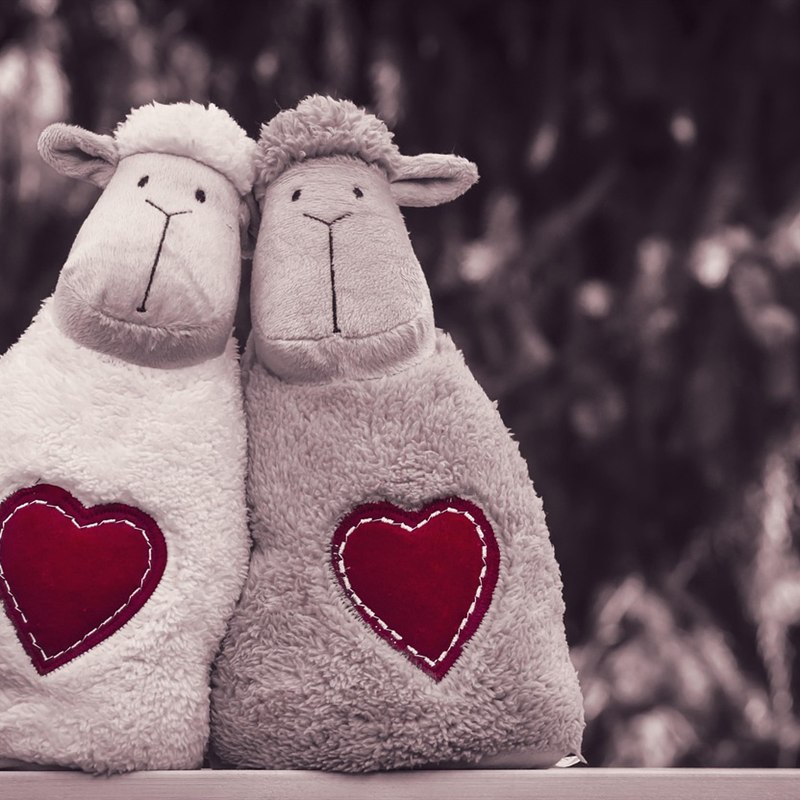 Soft Toy Set of 3 Animals
