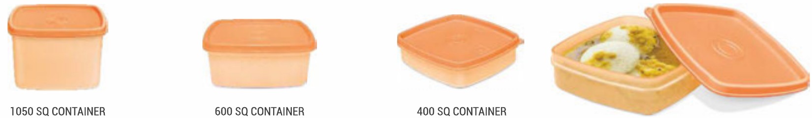 Milton 1050 SQ Container