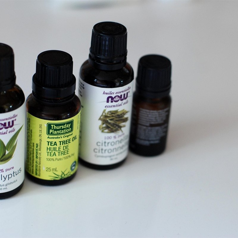 Tea Tree Essential Oil (15 ml)